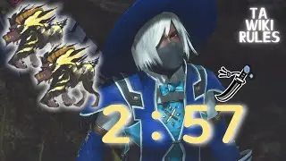 MHR SUNBREAK ELEMENTAL LONGSWORD VS 2 Rajang Furious 2'57 Ta Wiki Rules