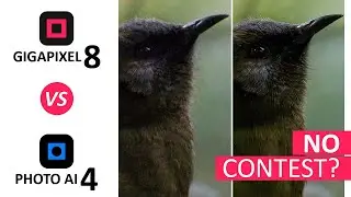 Gigapixel vs Topaz Photo AI 4 - Do You Still Get What You Pay For?