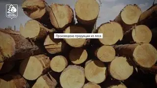 Отчет Департамента лесного хозяйства Томской области