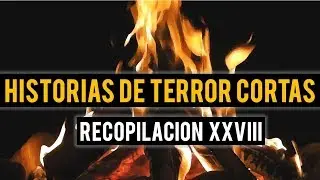 HISTORIAS DE TERROR CORTAS XXVIII (RELATOS DE HORROR)