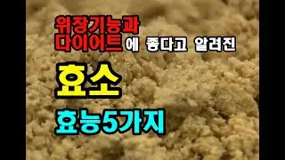 최근 핫한 효소 효능 5가지