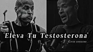𝐓𝐄𝐒𝐓𝐎𝐒𝐓𝐄𝐑𝐎𝐍𝐀 𝟒.𝟎: Porque tus niveles de energía son tan bajos? - David Goggins (motivación)