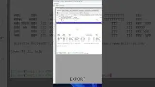 Exporting MikroTik settings 