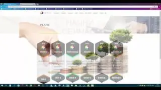 Evo Binary краткий обзор компании и регистрация кабинета  ®