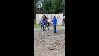 Learn Tips To Become Your Horse's Leader! Part 7 | The Horse Guru-Michael Gascon
