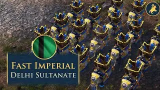 Delhi Fast Imperial | S9 Meta Builds | Age of Empires 4