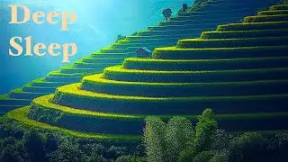 Relaxing Music for Deep Sleep, Delta Waves, Calm Background for Sleeping | 10 Hour Sleep Music