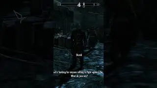 Skyrim NPCs have NO chill 