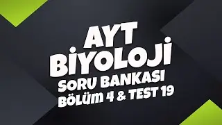 AYT Biyoloji Soru Bankası Bölüm 4 Test 19