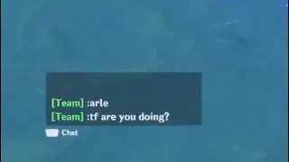 Host Gets Triggered Because Of This - Genshin co-op