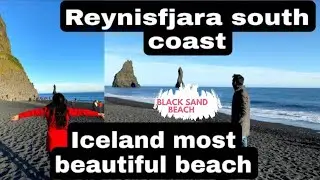 Assamese in Iceland P2 - South Coast/Reynisfjara's black sand beach/Vik অসমীয়া ( English subtitles)