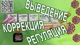 Арго | Пищевые волокна (НУТРИКОНЫ, БВМ КОКТЕЙЛИ ) как средства укрепления врожденного иммунитета.