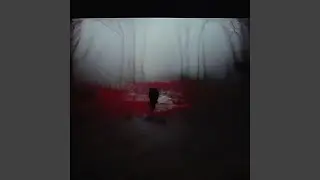 counting cards (Slowed)