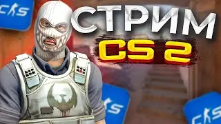 Стрим Counter-Strike 2 ( 🦞АНДРЮХА МЕЛЛСТРОЙ ПЕРЕДАЮ ТЕБЕ ПРИВЕТ 🦞 ) #shorts