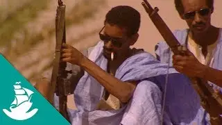 CIta en el desierto - ¡Ahora en alta calidad! (Documental completo)