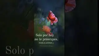 La Escuela de la vida 🪻