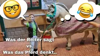 Was der Reiter sagt💬👧🏼VS. was das Pferd denkt 💭🐴[Lustig]