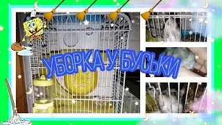 УБОРКА В КЛЕТКЕ У ХОМЯКА🧹/ УБОРКА У БУСИЧКИ♥️🐹🐹♥️