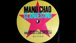 Manu Chao - Bongo Bong (Bjarki King Of The Bongo Pandemix)