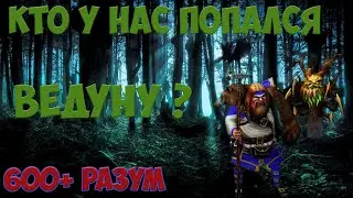 Prime World - Ведун. Разум почти 600 на капе (Февраль 2019)