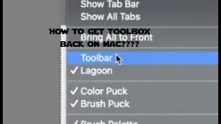 How to get toolbox back on Autodesk Sketchbook