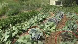 Great Gardening - Growing Community