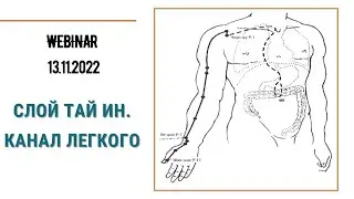 ВЕБИНАР СЛОЙ ТАЙ ИН. КАНАЛ ЛЕГКОГО. КИТАЙСКАЯ МЕДИЦИНА.