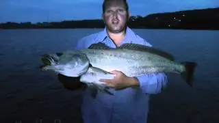 MULLOWAY 
