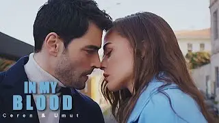 Ceren & Umut II In My Blood • Tuzak • [1x13]