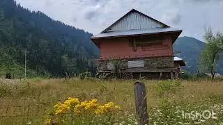 Kashmir's Magestic Beauty, Ringbala Machil