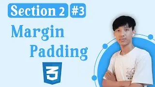 Section 2 -  Margin & Padding | #3