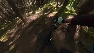 Vancouver Island's Old-School Bike Trails Are Legendary
