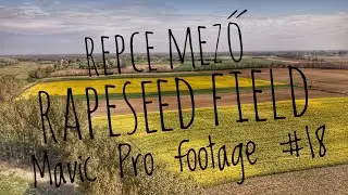 Repce mező - Rapeseed field [Dji Mavic Pro footage #18] #dji #djimavic #dronevideo #mavicfootage