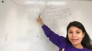 Entendendo a pós graduação nos EUA - Parte 1 | PHDNOSEUA