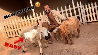 Hmary Mini zoo Main Naya Mhman Agea😍
