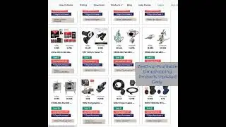 Top Dropshipping Products to Sell in 2025 - Free Daily List