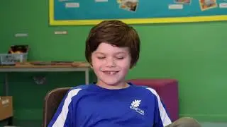 The Nest Overview