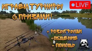 🔴ПРЯМОЙ ЭФИР В РР4/В ПОИСКАХ НОВЫХ ТРОФЕЕВ 🎁