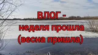 ВЛОГ - неделя прошла! Всех с приходом весны!
