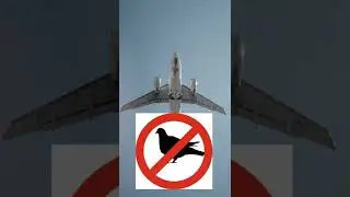 СЕКРЕТЫ ПОЛЁТА О КОТОРЫХ НИКОГДА НЕ РАССКАЗЫВАЮТ ПАССАЖИРАМ