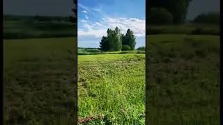 6 июля 2024 г.