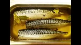Скумбрия пряного посола за 2 дня