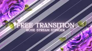Free Rose Stream Transition - Animated Free OBS Stinger - Streamlabs OBS