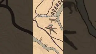 Special Items in RDR2 Story Mode (with locations) 