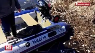 Массовый мор рыбы в озере Кунашак