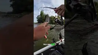 Grosse touche dans l'écume !