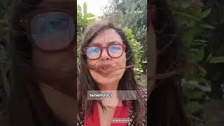 Tenere lontane le zanzare con le piante.