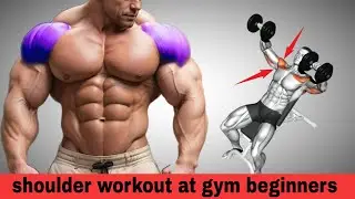 Shoulder Workout At Gym Beginners