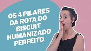 Os Grandes Pilares Da Rota Do Biscuit Humanizado Perfeito