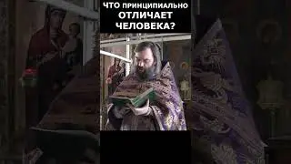 Что принципиально отличает человека? Священник Валерий Сосковец 